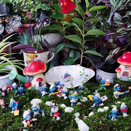 Nel Giardino Di Oz Bed & Breakfast ฟอร์โนโว ดิ ตาโร ภายนอก รูปภาพ